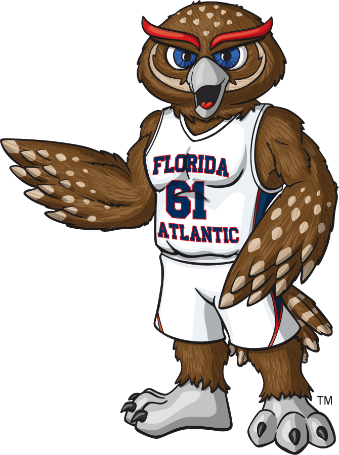 Florida Atlantic Owls 2014-2015 Mascot Logo diy DTF decal sticker